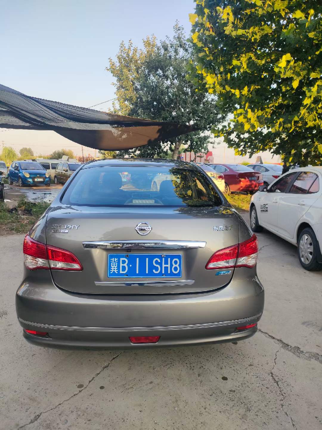 轩逸 图7